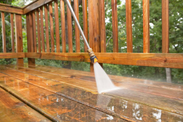 Best Roof Washing  in Williamsburg, KY
